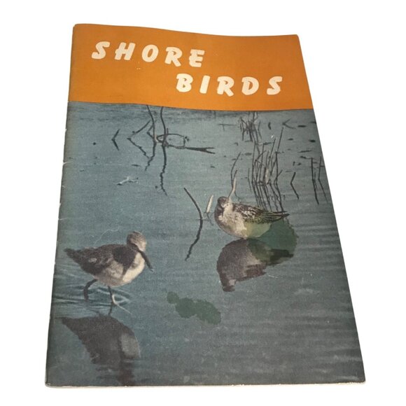 Shore Birds 1950 Book By H.M. Halliday F.G. Bard & W.H. Carrick  School Aids Tex - Picture 1 of 4
